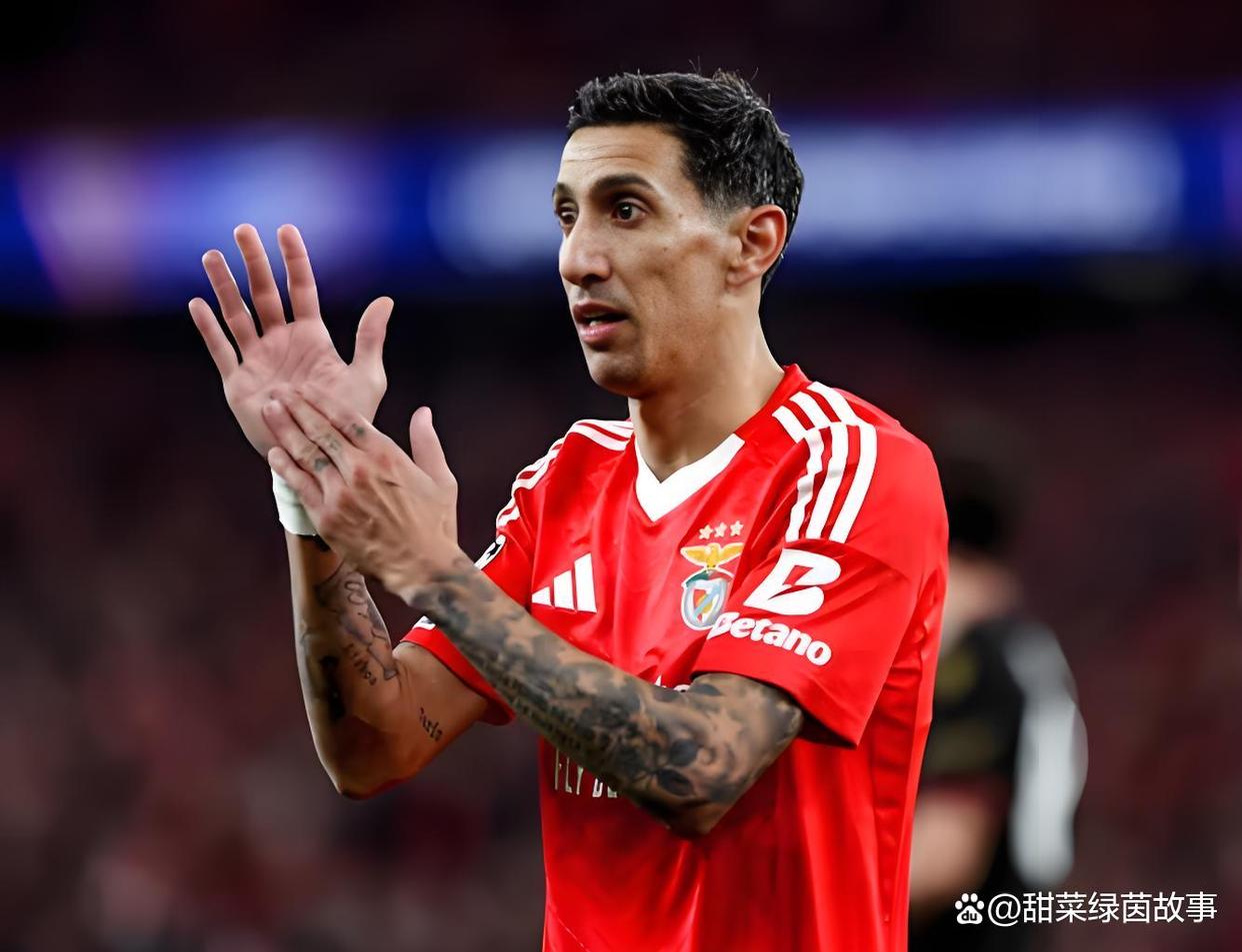 包含葡超窗口期再迎强敌；金州勇士队长鼓劲；主帅态度——球迷炸锅；轮换策略成焦点的词条